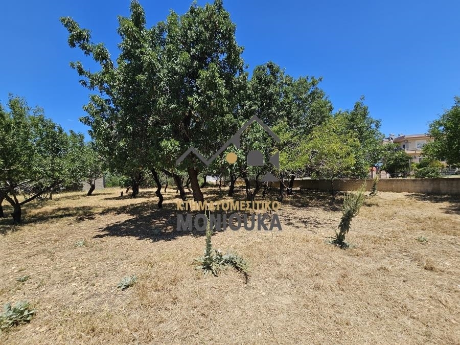 (For Sale) Land Plot || Chios/Chios - 854 Sq.m, 110.000€ 