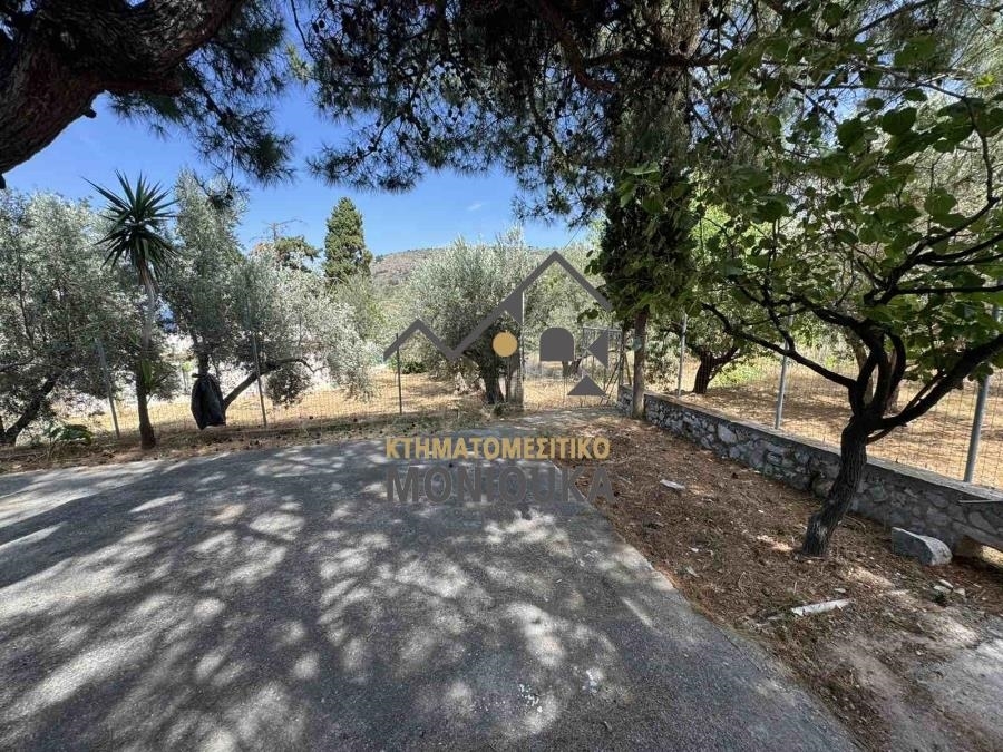 (For Sale) Land Agricultural Land  || Chios/Kardamyla - 1.210 Sq.m, 69.000€ 