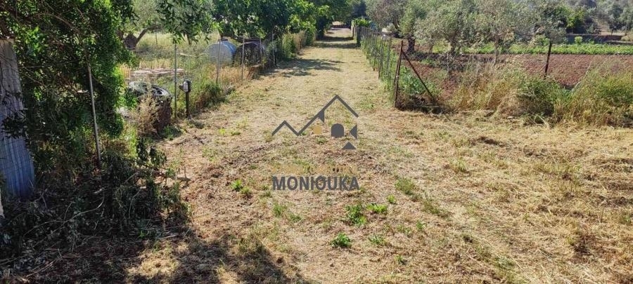(For Sale) Land Plot out of City plans || Chios/Kampochora - 4.018 Sq.m, 40.000€ 