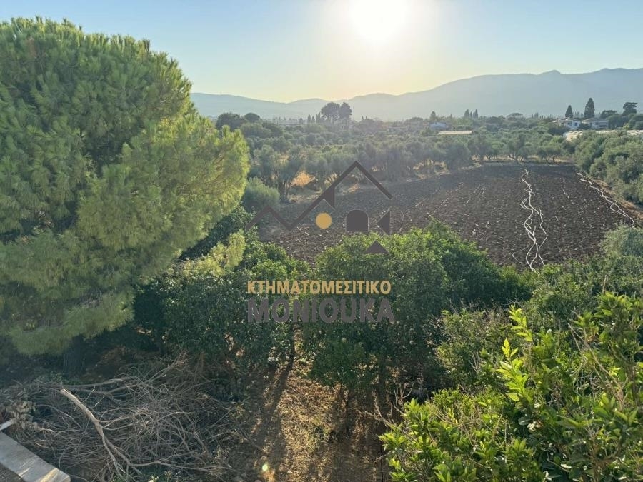 (For Sale) Land Plot || Chios/Agios Minas - 3.200 Sq.m, 220.000€ 