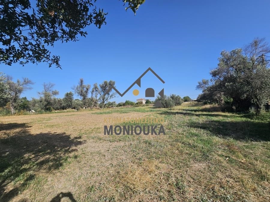 (For Sale) Land Plot || Chios/Agios Minas - 4.605 Sq.m, 120.000€ 