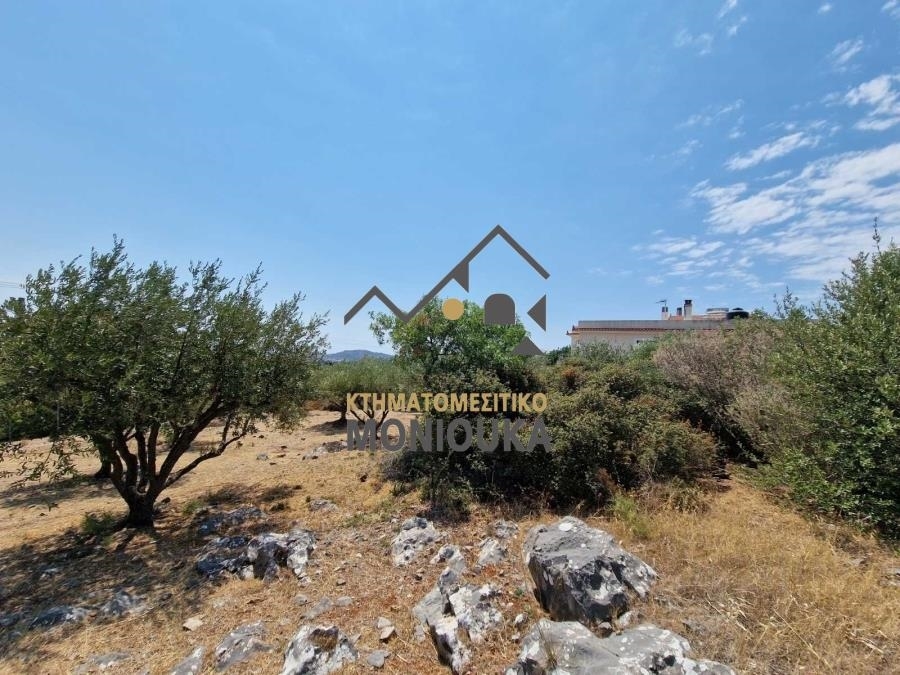 (Zum Verkauf) Nutzbares Land Grundstück || Chios/Chios - 2.036 m², 280.000€ 