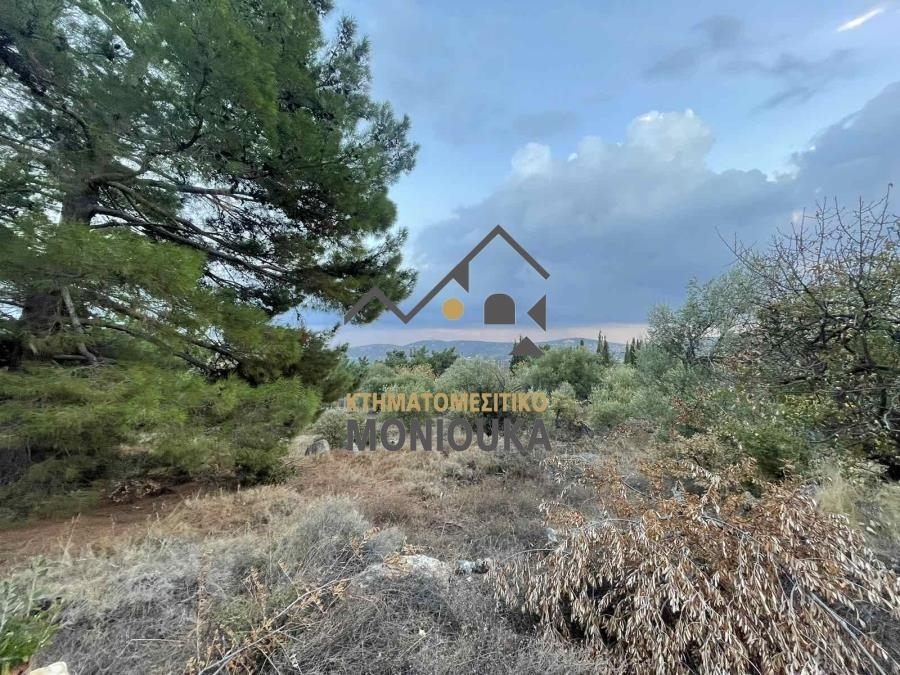 (Zum Verkauf) Nutzbares Land Grundstück || Chios/Chios - 4.135 m², 165.000€ 